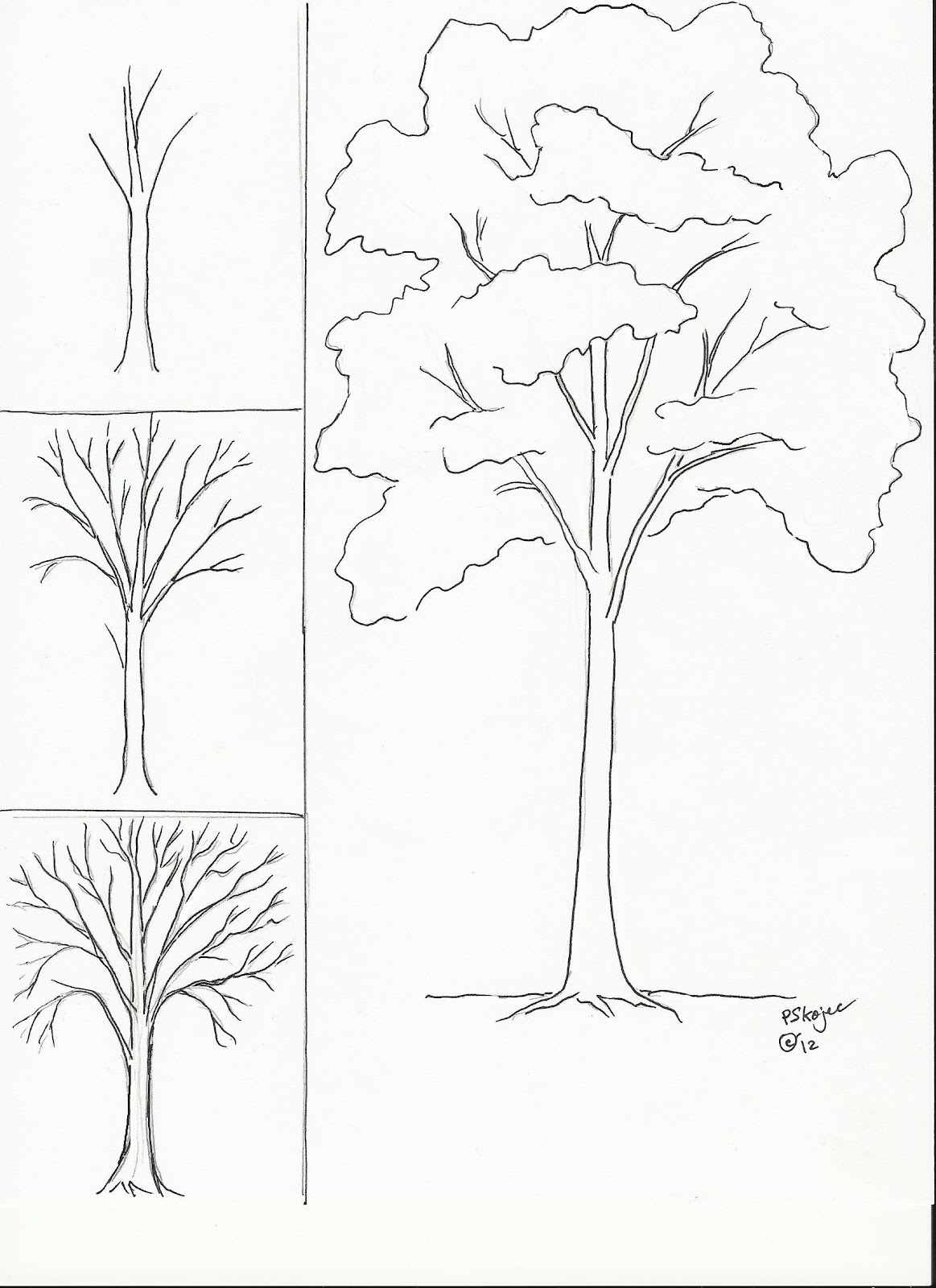 Drawing Trees Step by Step